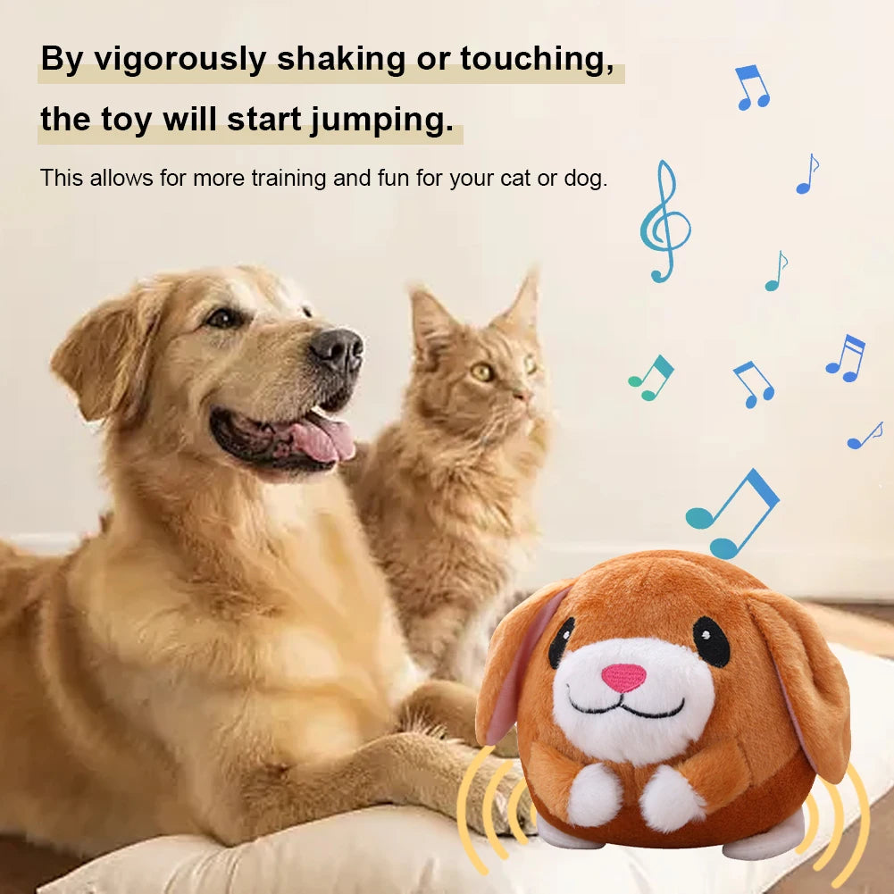 Singing Plush Toy