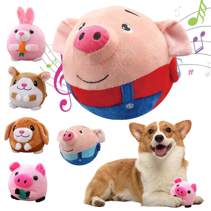 Singing Plush Toy