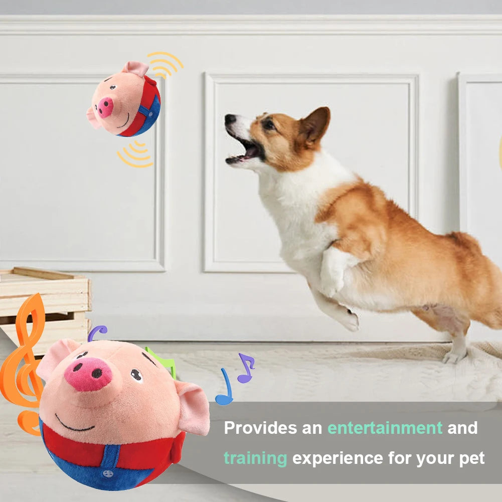 Singing Plush Toy